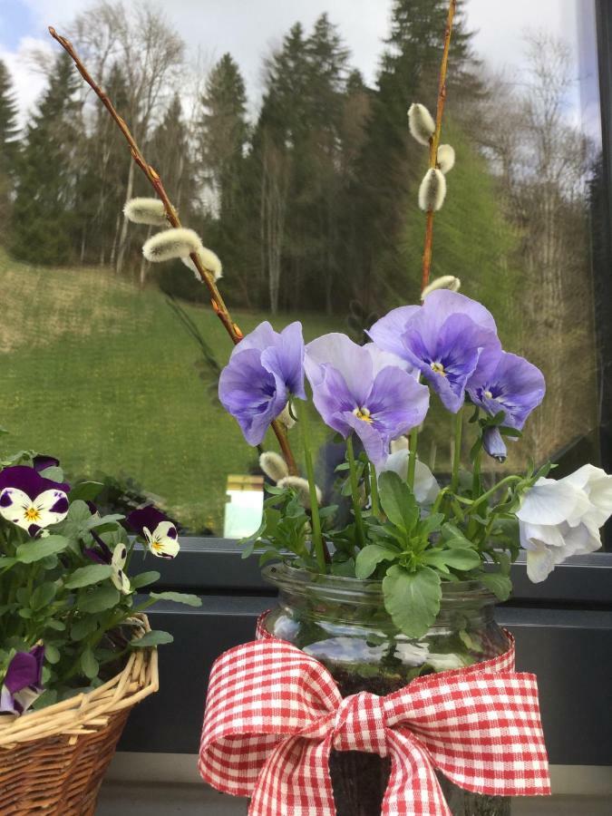 Apartment Nest Sibratsgfäll Екстериор снимка